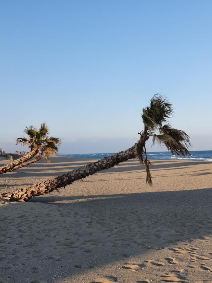 Reve Mediterraneen, La Vie De Chateau Le Barcarès Esterno foto